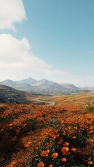Scenic Mountain Landscape with Wild Orange Poppy Field and Winding Road