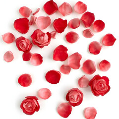 Fototapeta premium Red Rose Petals: Delicate red rose petals and miniature blooms scattered across a smooth surface, creating a romantic and elegant display perfect for conveying sentiments of love, passion, and beauty.