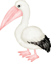 watercolor pelican