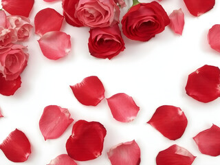 Fototapeta premium Ethereal Roses and Petals: A delicate composition of roses and scattered petals, creating a romantic and dreamy scene. Capturing the essence of love and beauty.