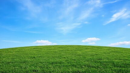 Fototapeta premium A field of soft green grass under a bright blue sky, creating a peaceful and open environment with ample copy space.