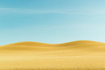 Fototapeta premium Golden wheat landscapes beneath a bright sky for agricultural themes and nature-inspired imagery in rural lifestyle settings