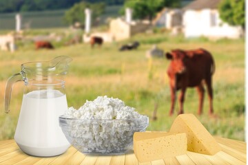 Cows in field green meadow,  herd together