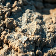 Macro and close-up photographs of various textures.