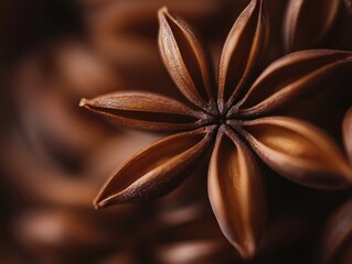 star anise, showcasing its star-shaped structure composed of eight pointed segments radiating from the center. Each segment is a rich, dark brown color, highlighting the glossy surface and intricate t