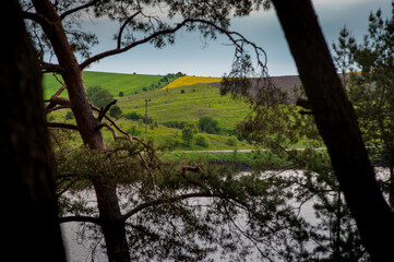 silhouettes of trees on the shore and a view of a beautiful reservoir