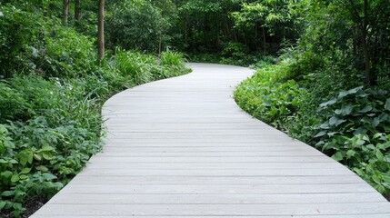 Obraz premium Winding wooden path through lush green forest. Possible use nature, tourism, relaxation