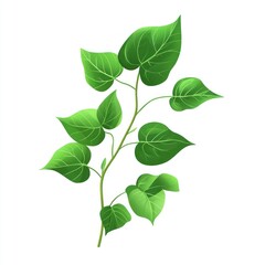 Fototapeta premium Green leaves branch illustration, nature, detailed foliage, digital art, botanical illustration, isolated, vector graphic