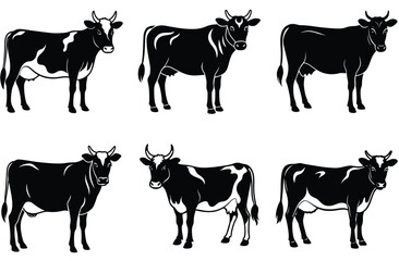 Cow silhouette set (breeds and angles). Vector Calf Silhouettes Isolated on White.
