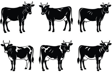 Cow silhouette set (breeds and angles). Vector Calf Silhouettes Isolated on White.