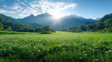 Sunlit mountain meadow irises sunrise landscape wallpaper
