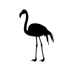 flamingo black on white background, 