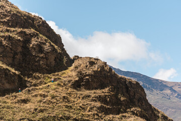 a group of native aymara people walking and hiking in the heights in the andean mountain range in bolivian town charazani showing the vastness of space