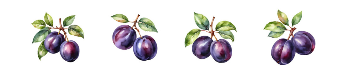 Vibrant Plums with Fresh Leaves