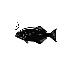 fish vector illustration