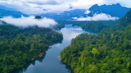 Mysterious Allure: Southeast Asia's Tropical Jungles in August