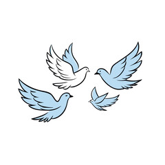 Obraz premium dove and peace