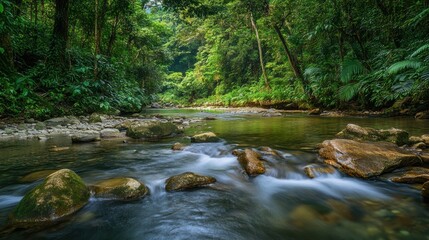 Obraz premium Mysterious Allure: Southeast Asia's Tropical Jungles in August