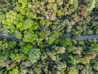 Lawachara National Park, Sreemangal, Sylhet, Bangladesh