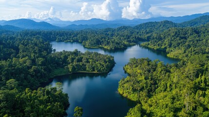 Mysterious Allure: Southeast Asia's Tropical Jungles in August