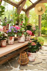 Garden flowers for selling in plant nursery or wooden flower greenhouse. Green Plants growing in pots and gardening tools on the patio in glasshouse. Flowers hortensia in flowershop. Gardening at home
