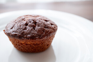 chocolate muffin with chocolate
