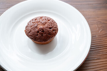 chocolate muffin with chocolate