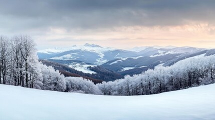 Winter Mountain Landscape Snowy Trees And Peaks