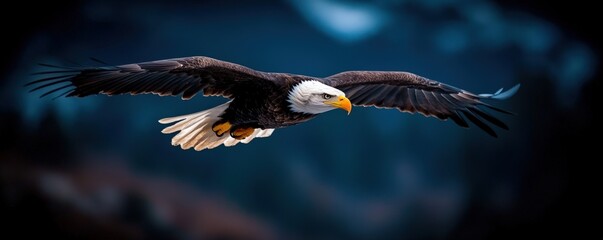 Obraz premium Bald eagle soaring, mountain backdrop, wildlife photography