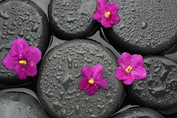 Spa stones and flowers on water surface, top view
