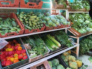 vegetables on market stall