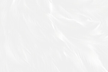 Obraz premium White feathers texture wedding female person.