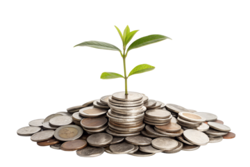 
Pile of coins with a growing plant on top symbolizing financial growth isolated on transparent background