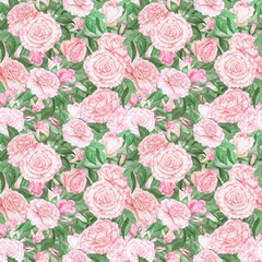 Light pink rose seamless pattern. Watercolor botanical illustration. Hand drawn clipart, cut out and isolated. Realistic flower drawing for delicate wedding prints, packing paper, background, textile
