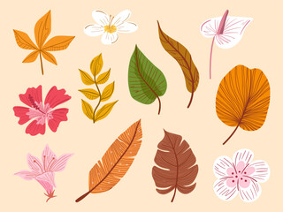 Hand Drawn Botanical Foliage Elements. A collection of hand-drawn botanical foliage and floral elements with fine details and warm earthy tones. Perfect for nature-inspired, and autumn-themed projects
