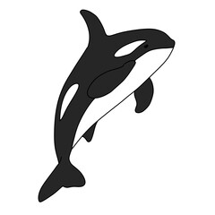 Naklejka premium silhouette of a dolphin