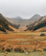 A lone sheep grazes on lush grass amidst rugged mountains, showcasing the serene beauty of nature in a pastoral setting.