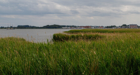 Blick &uuml;ber die Landschaft des Barther Bodden.