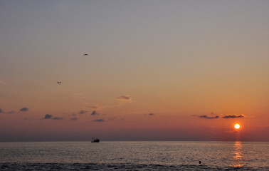 Sunset over the sea – airplane, birds, and ship on the horizon