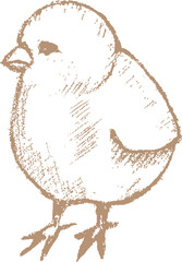 Line Sketch Easter Chick