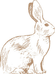 Line Sketch Easter Rabbit