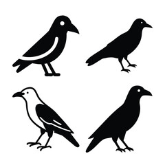 Four Simple Black Silhouette Crows