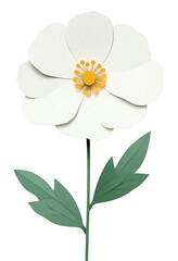 Naklejka premium PNG White flower paper handcrafted asteraceae.