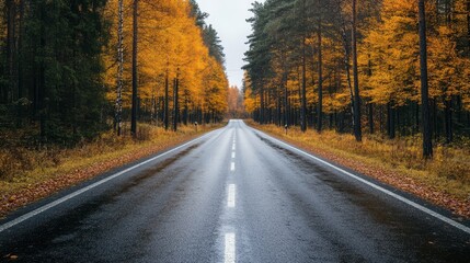 Fototapeta premium A serene long road stretches ahead, framed by lush trees and scattered leaves, inviting a peaceful journey through nature's beauty.