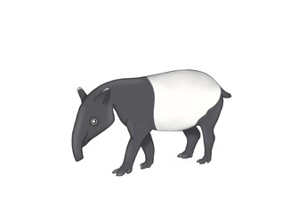 Isolated illustration of cute tapir on white background 