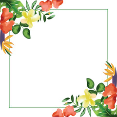 Fototapeta premium Tropical floral decorative Border and Frame