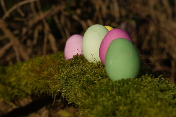 Schöne bunte Ostereier auf Moos im Wald in einer Reihe