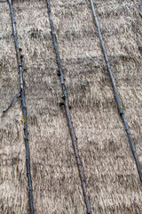 Ceiling of Thai local pavilion made from dried leaves. Dried leaves roof.