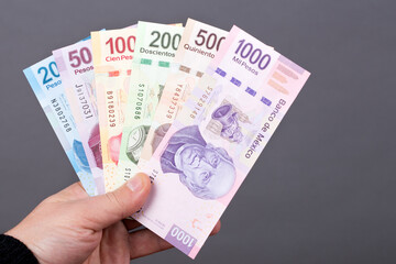 Mexican money in the hand on a gray background