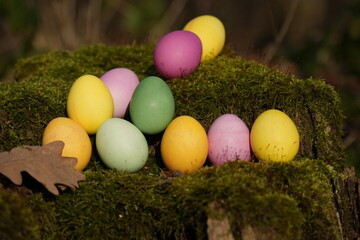 Schöne bunte Ostereier auf einem mit Moos bewachsenen Baumstumpf im Wald 
